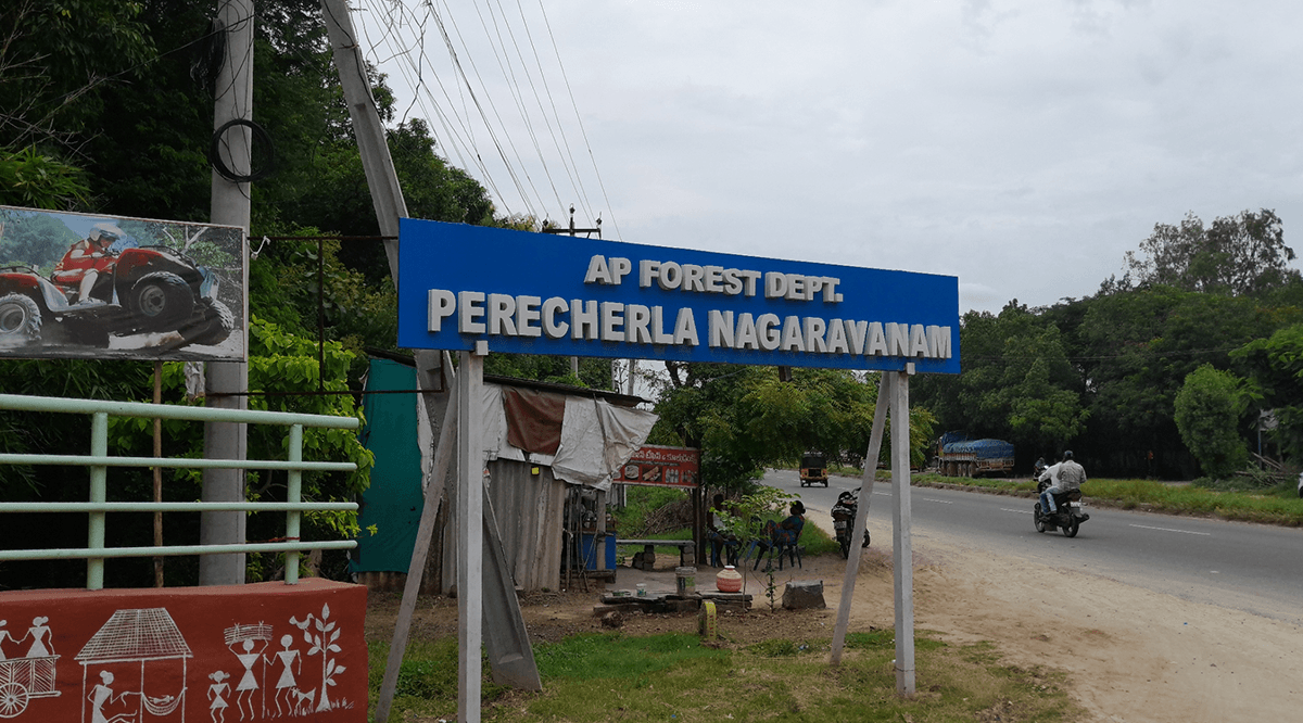 Perecharla Nagaravanam Park – the must-visit place if you are staying near Guntur