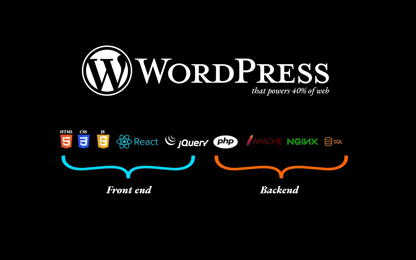 The Magic wordpress Framework That powers 40% of the web