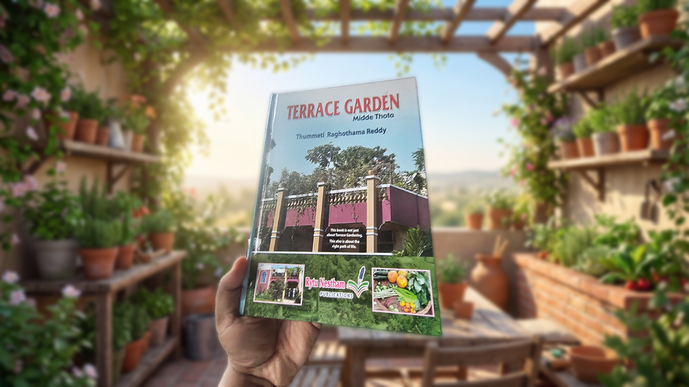 My terrace garden journey